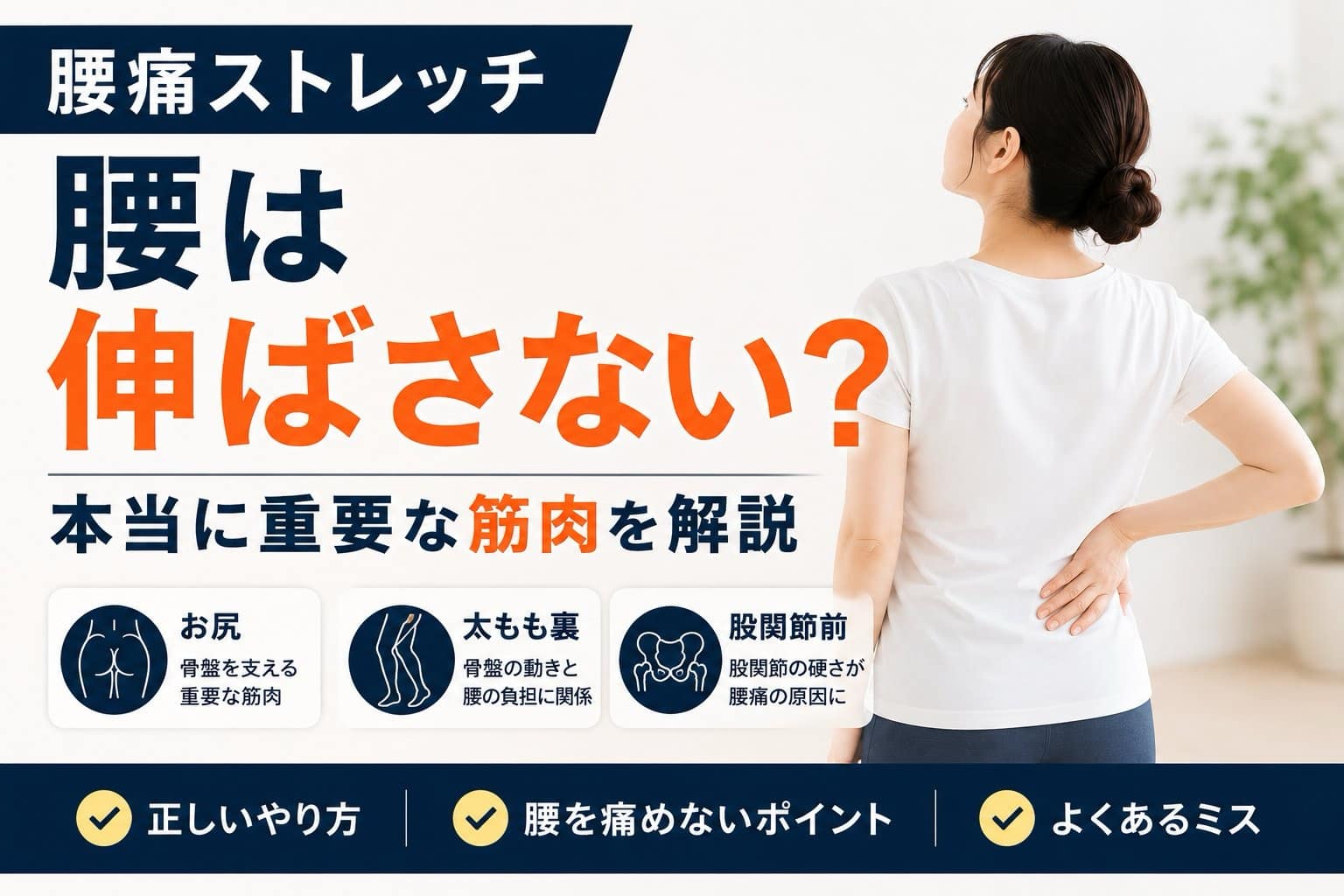 腰痛ストレッチの重要な筋肉を解説するアイキャッチ画像